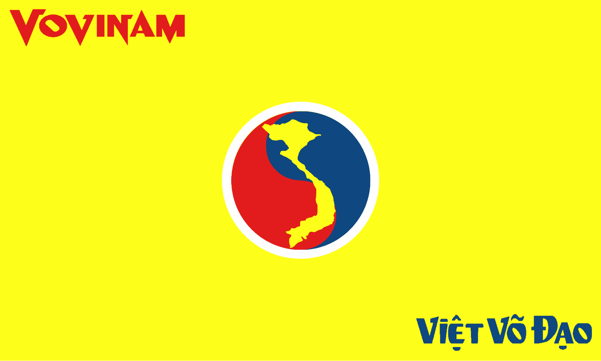 Drapeau Vovinam Việt Võ Đạo